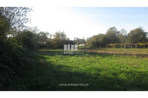 Helårsgrund i Barroselas, Viana do Castelo, Barroselas - € 6.500 | Ref: VCM11467(1) - foto 3