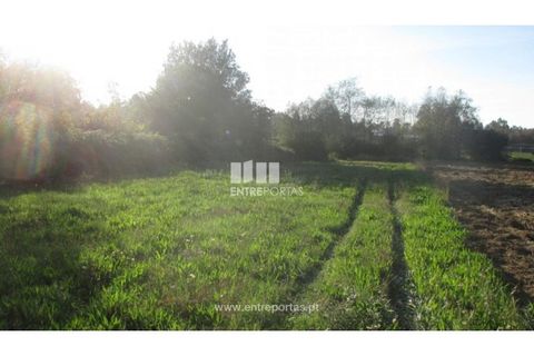 Helårsgrund i Barroselas, Viana do Castelo, Barroselas - € 6.500 | Ref: VCM11467(1) - foto 7