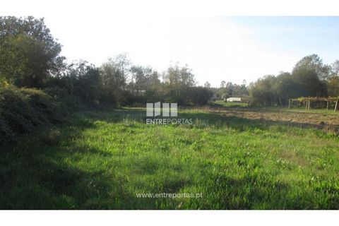 Helårsgrund i Barroselas, Viana do Castelo, Barroselas - € 6.500 | Ref: VCM11467(1) - foto 9