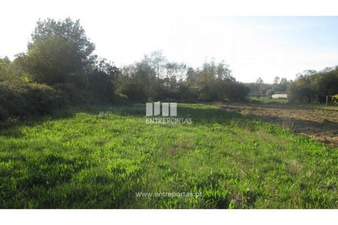 Helårsgrund i Barroselas, Viana do Castelo, Barroselas - € 6.500 | Ref: VCM11467(1) - foto 26