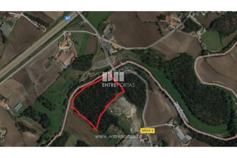 Helårsgrund i Vila do Conde, Porto, Vila do Conde - € 300.000 | Ref: PV07591 - foto 1