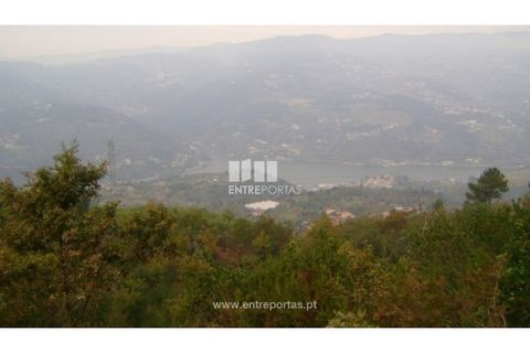 Terra a Resende, Viseu, Resende - € 20.000 | Ref: MC07197 - foto 2