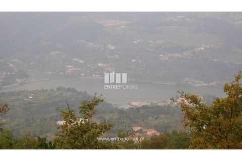 Terra a Resende, Viseu, Resende - € 20.000 | Ref: MC07197 - foto 4