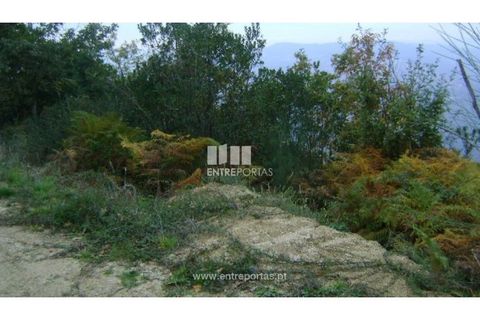 Terra a Resende, Viseu, Resende - € 20.000 | Ref: MC07197 - foto 6