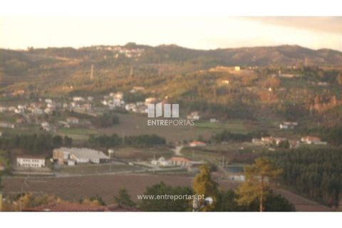 Helårsgrund i Baiao, Porto, Baiao - € 30.000 | Ref: MC07242 - foto 5