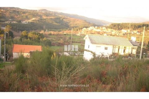 Helårsgrund i Baiao, Porto, Baiao - € 30.000 | Ref: MC07242 - foto 8