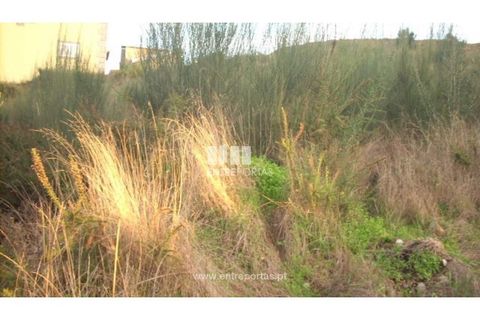 Helårsgrund i Baiao, Porto, Baiao - € 30.000 | Ref: MC07242 - foto 11