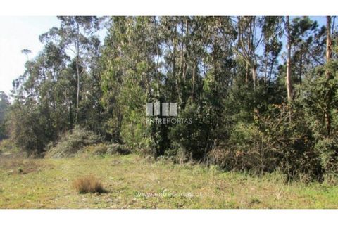 Helårsgrund i Penafiel, Porto, Penafiel - € 120.000 | Ref: VC01457 - foto 1