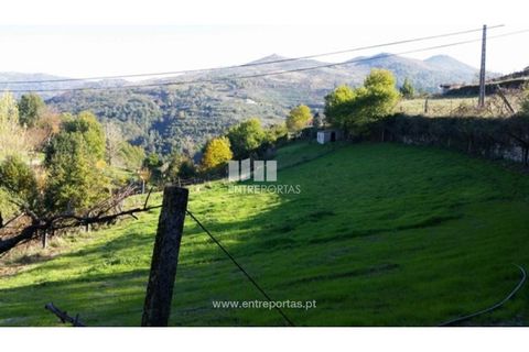 Tomt i Ancede e Ribadouro, Porto, Ancede e Ribadouro - € 42 500 | Ref: MC07228 - foto 2