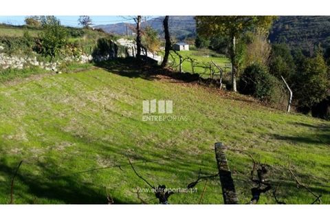 Tomt i Ancede e Ribadouro, Porto, Ancede e Ribadouro - € 42 500 | Ref: MC07228 - foto 3