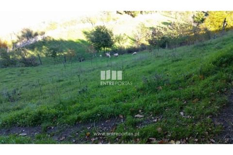 Tomt i Ancede e Ribadouro, Porto, Ancede e Ribadouro - € 42 500 | Ref: MC07228 - foto 4