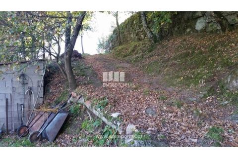 Tomt i Ancede e Ribadouro, Porto, Ancede e Ribadouro - € 42 500 | Ref: MC07228 - foto 5
