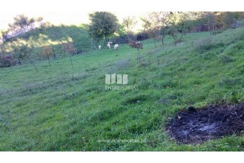 Tomt i Ancede e Ribadouro, Porto, Ancede e Ribadouro - € 42 500 | Ref: MC07228 - foto 7