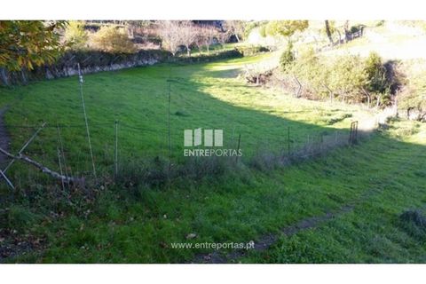 Tomt i Ancede e Ribadouro, Porto, Ancede e Ribadouro - € 42 500 | Ref: MC07228 - foto 8