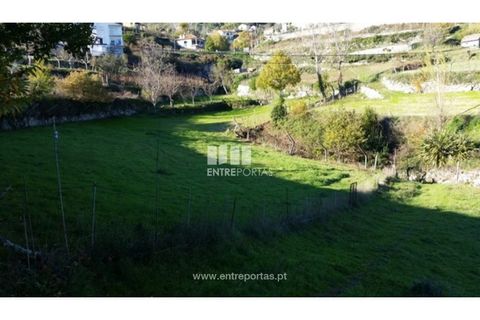 Tomt i Ancede e Ribadouro, Porto, Ancede e Ribadouro - € 42 500 | Ref: MC07228 - foto 9