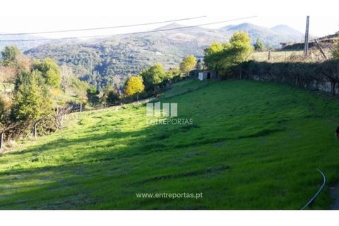 Tomt i Ancede e Ribadouro, Porto, Ancede e Ribadouro - € 42 500 | Ref: MC07228 - foto 10