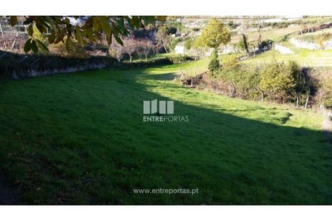 Tomt i Ancede e Ribadouro, Porto, Ancede e Ribadouro - € 42 500 | Ref: MC07228 - foto 11