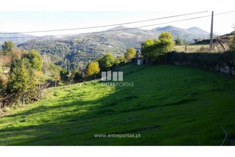 Tomt i Ancede e Ribadouro, Porto, Ancede e Ribadouro - € 42 500 | Ref: MC07228 - foto 12