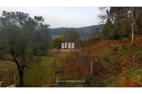 Helårsgrund i Ponte de Lima, Viana do Castelo, Ponte de Lima - € 58.000 | Ref: VCC11606 - foto 2