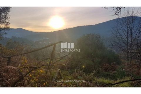 Helårsgrund i Ponte de Lima, Viana do Castelo, Ponte de Lima - € 58.000 | Ref: VCC11606 - foto 3