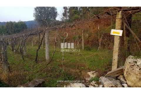 Helårsgrund i Ponte de Lima, Viana do Castelo, Ponte de Lima - € 58.000 | Ref: VCC11606 - foto 4