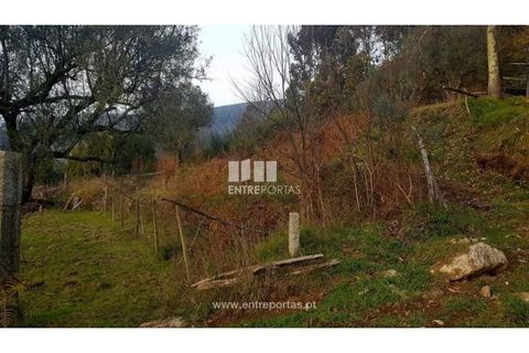 Helårsgrund i Ponte de Lima, Viana do Castelo, Ponte de Lima - € 58.000 | Ref: VCC11606 - foto 5