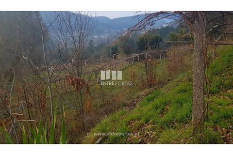 Helårsgrund i Ponte de Lima, Viana do Castelo, Ponte de Lima - € 58.000 | Ref: VCC11606 - foto 6