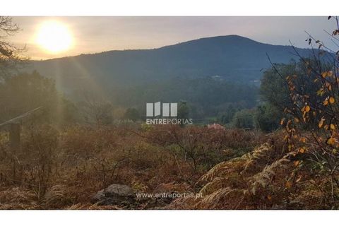 Helårsgrund i Ponte de Lima, Viana do Castelo, Ponte de Lima - € 58.000 | Ref: VCC11606 - foto 7