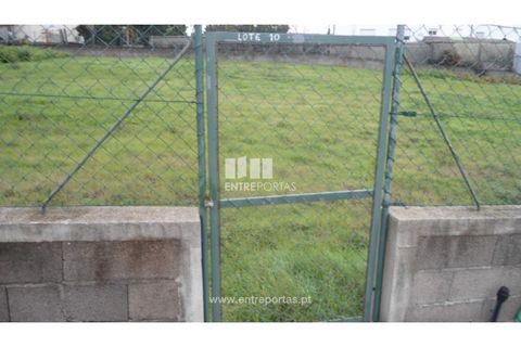 Terra a Sobreira, Porto, Sobreira - € 23.000 | Ref: MC07299 - foto 13