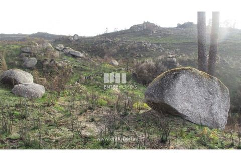 Tomt i Amarante, Porto, Amarante - € 7 000 | Ref: MC07304 - foto 6