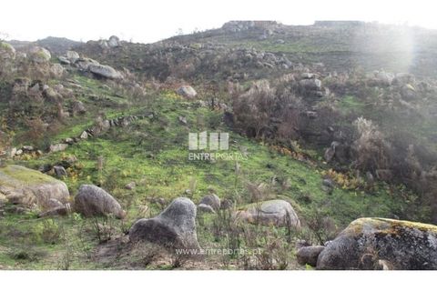 Tomt i Amarante, Porto, Amarante - € 7 000 | Ref: MC07304 - foto 9