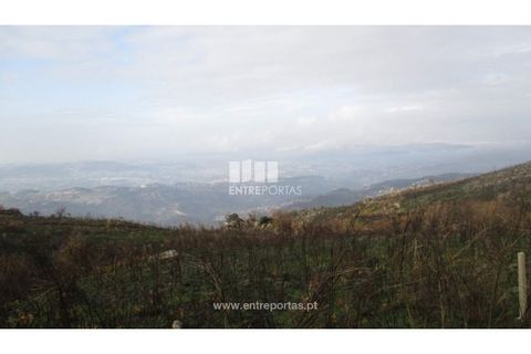 Tomt i Amarante, Porto, Amarante - € 7 000 | Ref: MC07304 - foto 12