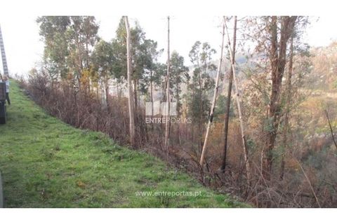 Helårsgrund i Amarante, Porto, Amarante - € 7.000 | Ref: MC07307 - foto 1