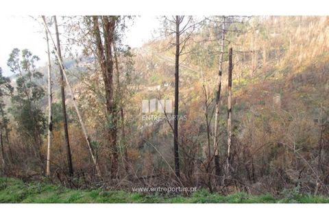 Helårsgrund i Amarante, Porto, Amarante - € 7.000 | Ref: MC07307 - foto 3