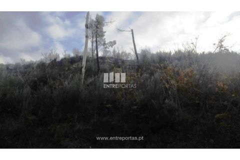 Helårsgrund i Amarante, Porto, Amarante - € 7.000 | Ref: MC07307 - foto 5