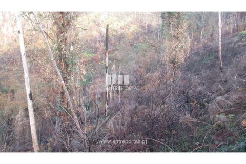 Helårsgrund i Amarante, Porto, Amarante - € 7.000 | Ref: MC07307 - foto 6