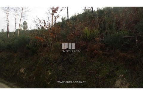 Helårsgrund i Amarante, Porto, Amarante - € 7.000 | Ref: MC07307 - foto 9