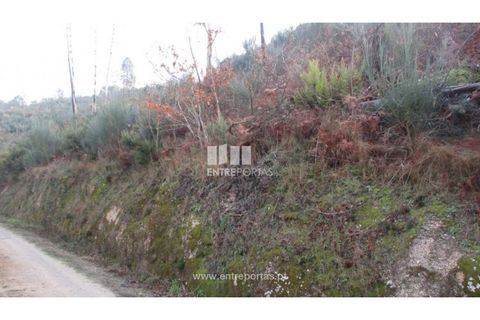 Helårsgrund i Amarante, Porto, Amarante - € 7.000 | Ref: MC07307 - foto 10