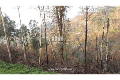 Helårsgrund i Amarante, Porto, Amarante - € 7.000 | Ref: MC07307 - foto 11