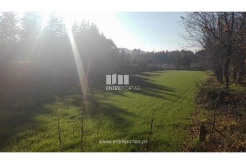 Helårsgrund i Maia, Porto, Maia - € 64.000 | Ref: MC07354 - foto 2