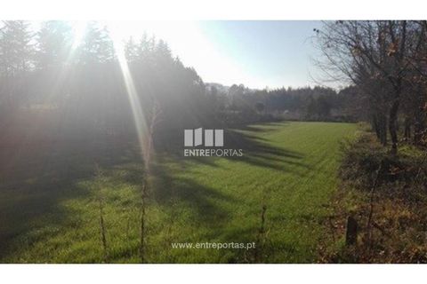 Helårsgrund i Maia, Porto, Maia - € 64.000 | Ref: MC07354 - foto 6
