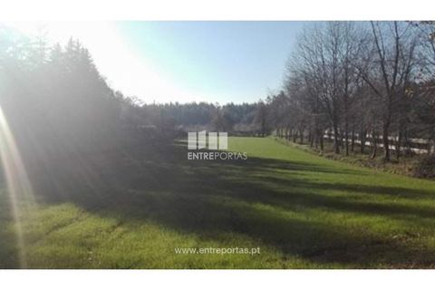 Helårsgrund i Maia, Porto, Maia - € 64.000 | Ref: MC07354 - foto 7