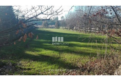 Helårsgrund i Maia, Porto, Maia - € 64.000 | Ref: MC07354 - foto 8