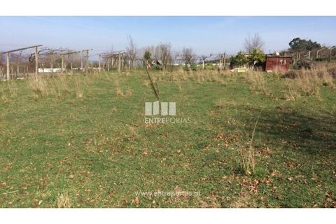 Helårsgrund i Banho e Carvalhosa, Porto, Banho e Carvalhosa - € 32.500 | Ref: MC07369 - foto 1