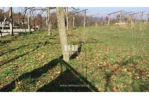 Helårsgrund i Banho e Carvalhosa, Porto, Banho e Carvalhosa - € 32.500 | Ref: MC07369 - foto 2