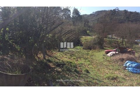 Helårsgrund i Banho e Carvalhosa, Porto, Banho e Carvalhosa - € 32.500 | Ref: MC07369 - foto 9