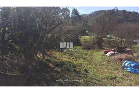 Helårsgrund i Banho e Carvalhosa, Porto, Banho e Carvalhosa - € 32.500 | Ref: MC07369 - foto 10