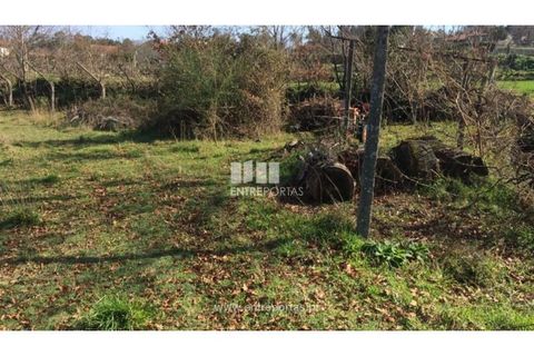 Helårsgrund i Banho e Carvalhosa, Porto, Banho e Carvalhosa - € 32.500 | Ref: MC07369 - foto 11