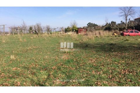 Helårsgrund i Banho e Carvalhosa, Porto, Banho e Carvalhosa - € 32.500 | Ref: MC07369 - foto 12