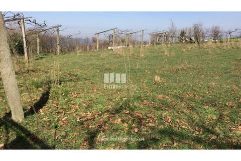 Helårsgrund i Banho e Carvalhosa, Porto, Banho e Carvalhosa - € 32.500 | Ref: MC07369 - foto 15